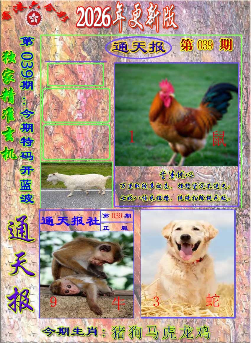 039期新通报[图]