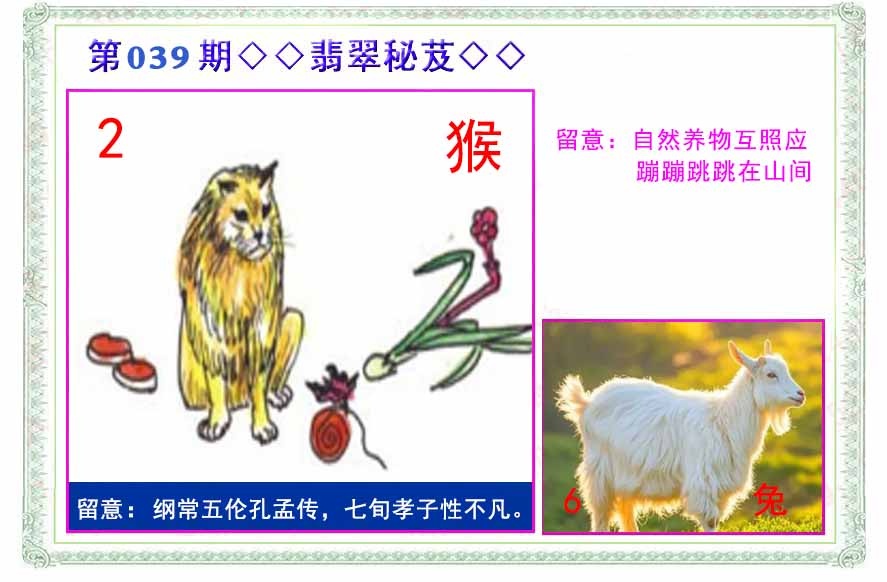 039期翡翠报[图]